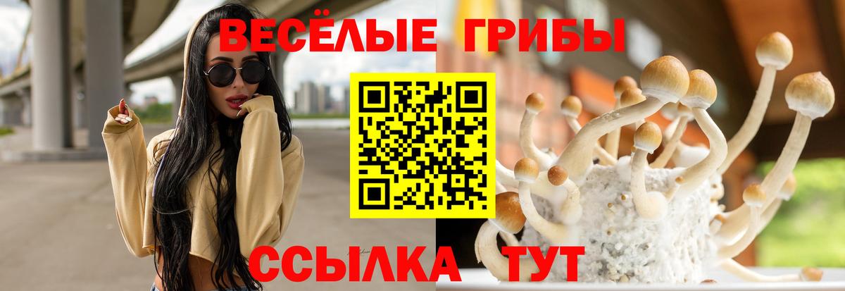 Шадринск  Псилоцибиновые грибы Psilocybine cubensis  Галлюциногенные грибы прущие грибы  Вход с VPN 