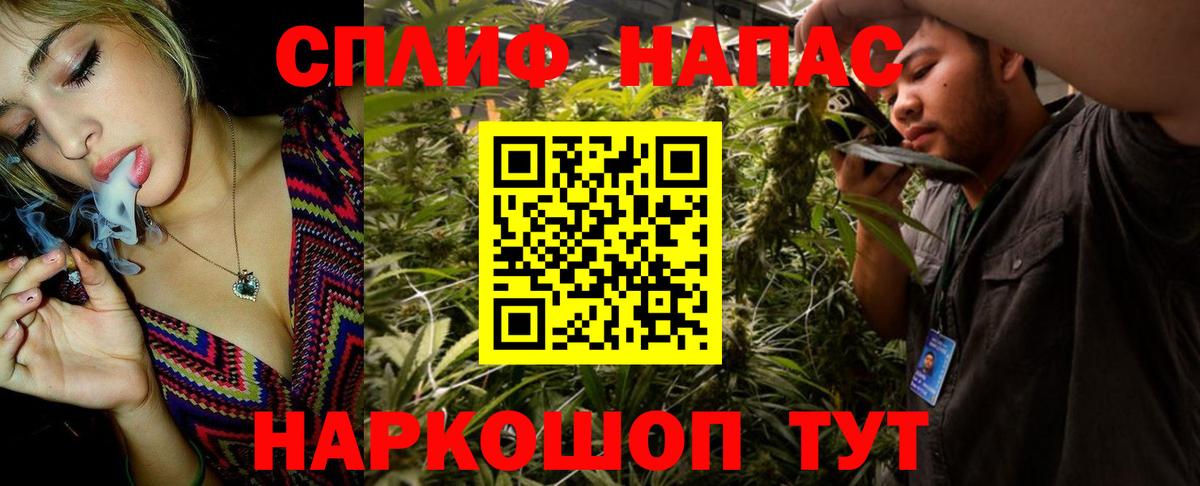 Конопля ГИДРОПОН  Конопля VHQ  Вход с VPN  Шадринск  МАРИХУАНА семена 